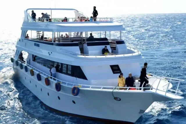 Ras Mohammed & White Island Snorkeling Tour from Sharm in Sharm El Sheikh — experience image 17 of 41