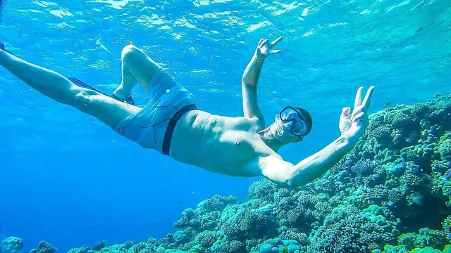 Ras Mohammed & White Island Snorkeling Tour from Sharm in Sharm El Sheikh — experience image 2 of 41