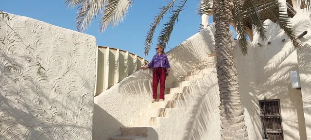 West Qatar Tour from Doha: Zekreet & Richard Serra in Doha — experience image 16 of 17