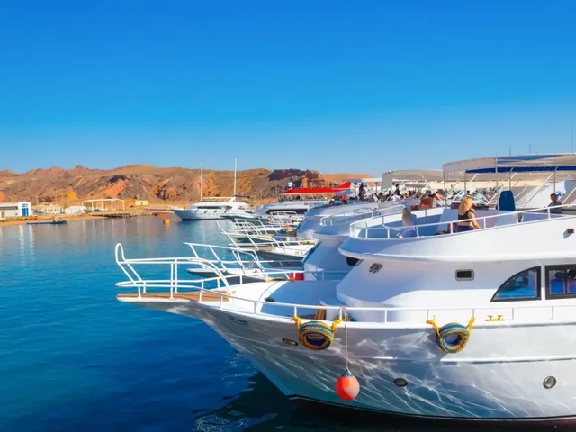 Ras Mohammed & White Island Snorkeling Tour from Sharm in Sharm El Sheikh — experience image 26 of 41