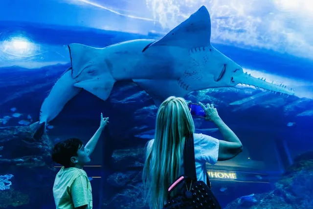 Dubai Aquarium & Underwater Zoo Tickets: Silver, Gold & Encounters in Dubai — experience image 10 of 14