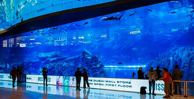 Dubai Day Tour from Abu Dhabi: Palm, Old Dubai & Dubai Mall in Abu Dhabi — experience image 7 of 10