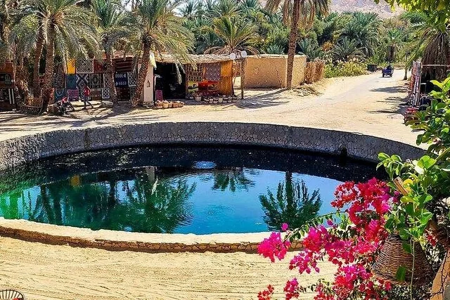 Private Siwa Oasis Day Tour: Salt Lakes & Heritage in Siwa — experience image 33 of 77