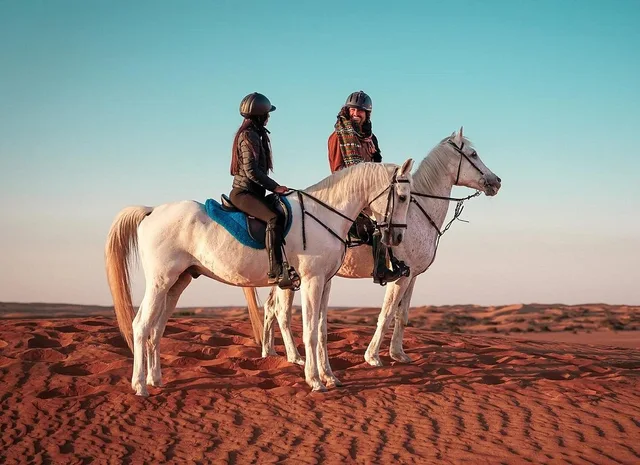 Doha Desert Horse Riding with Instructor & Transfers in Doha — experience image 3 of 8
