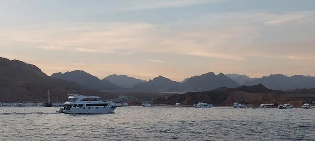 Ras Mohammed & White Island Snorkeling Tour from Sharm in Sharm El Sheikh — experience image 8 of 41