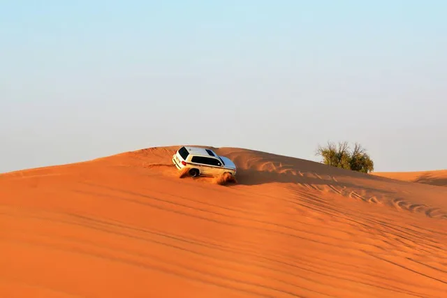 Doha Desert Safari with Quad Bike, Camel Ride & Inland Sea in Doha — experience image 9 of 15