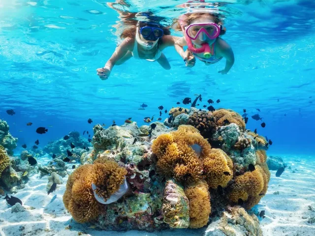 Tiran Island Snorkeling Cruise from Sharm with Lunch in Sharm El Sheikh — experience image 13 of 13