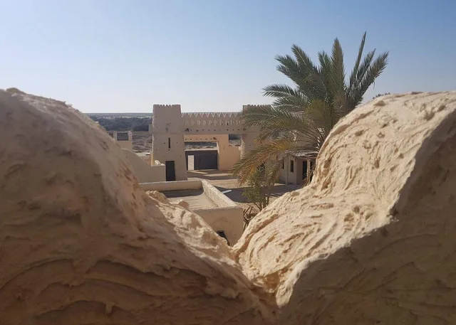 West Qatar Tour from Doha: Zekreet & Richard Serra in Doha — experience image 17 of 17