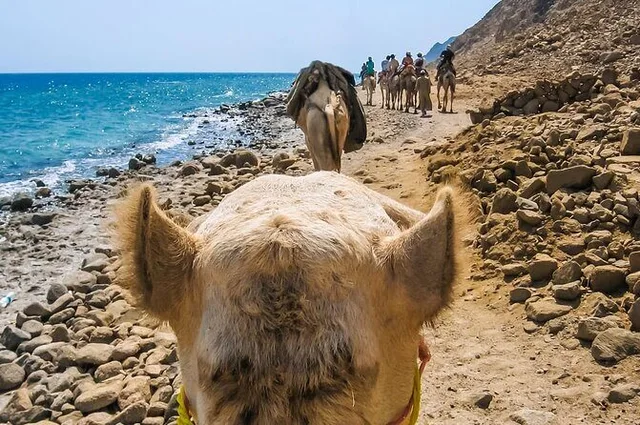 Coloured Canyon Jeep Safari from Taba with Lunch in Taba — experience image 9 of 20