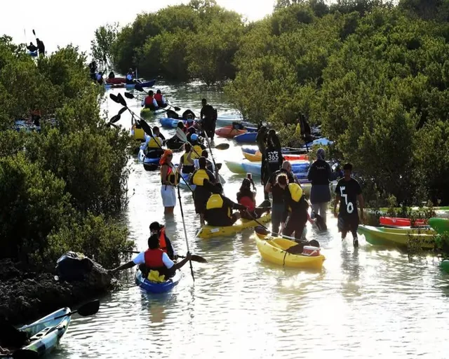 Al Thakira Mangrove Kayaking Tour from Doha in Doha — experience image 3 of 11