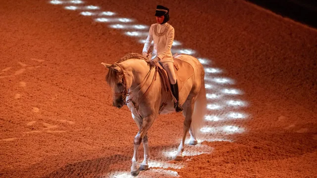 Furusiyya ADREA Show Abu Dhabi: Return to Origins Tickets in Abu Dhabi — experience image 9 of 13