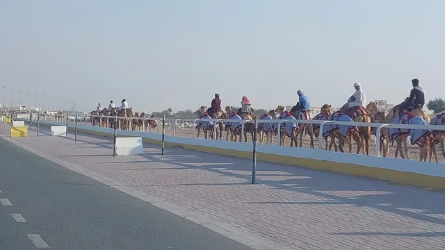 West Qatar Tour from Doha: Zekreet & Richard Serra in Doha — experience image 9 of 17