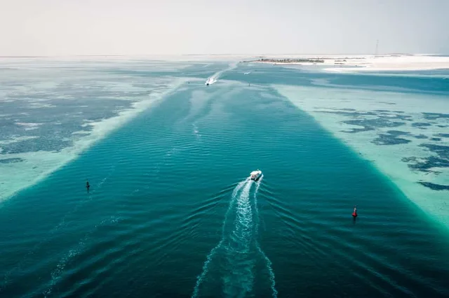 Abu Dhabi Island-Hopping Cruise: Four Hours from Al Bateen in Abu Dhabi — experience image 8 of 12