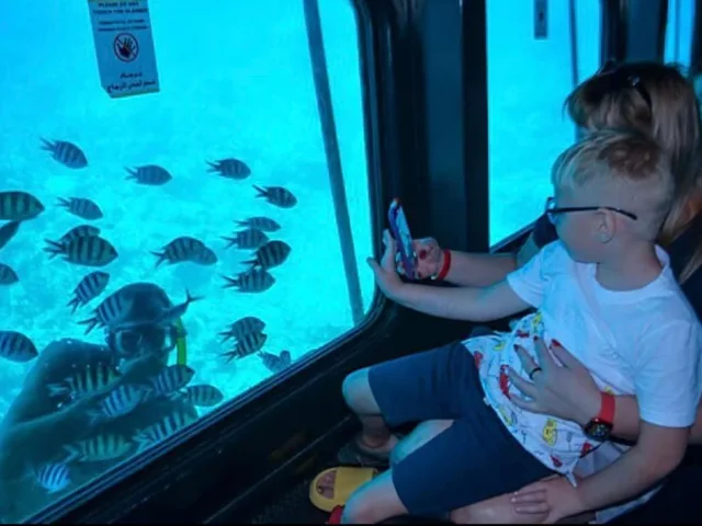 Sharm Sea Scope Semi-Submarine Reef Viewing Tour in Sharm El Sheikh — experience image 7 of 11