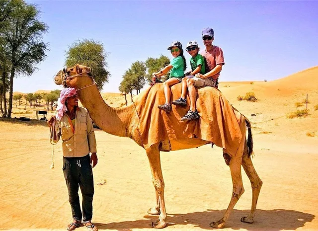 Ras Al Khaimah Evening Desert Safari with BBQ at Bedouin Oasis in Ras Al-Khaimah — experience image 5 of 15