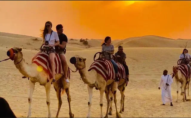 Doha Overnight Desert Safari with BBQ Dinner & Breakfast in Doha — experience image 14 of 20