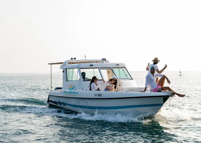 Abu Dhabi Island-Hopping Cruise: Four Hours from Al Bateen experience in Abu Dhabi
