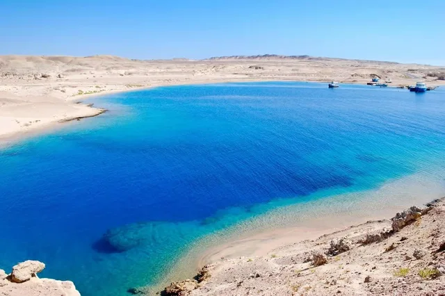 Ras Mohammed Bus Tour: Mangroves, Magic Lake & Reef in Sharm El Sheikh — experience image 4 of 31