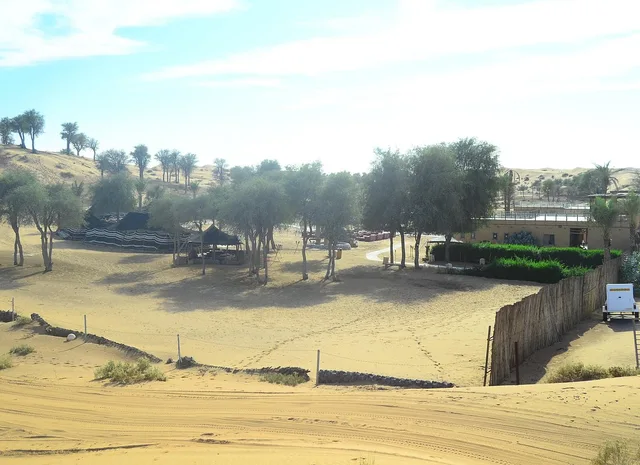 Ras Al Khaimah Evening Desert Safari with BBQ at Bedouin Oasis in Ras Al-Khaimah — experience image 7 of 15