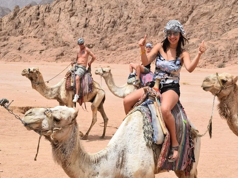 Sharm Camel Ride & Bedouin Dinner Desert Safari experience in Sharm El Sheikh