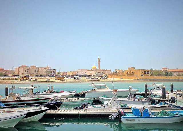 North Qatar Tour: Al Zubarah Fort, Mangroves & Al Khor in Doha — experience image 6 of 10