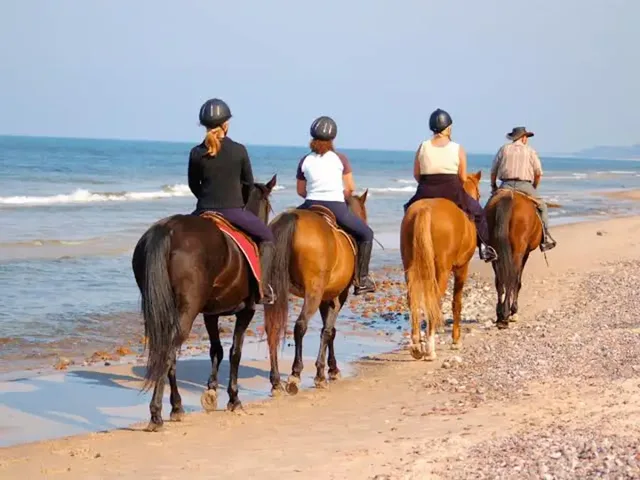 Bahrain Sunset Horse Riding Tour with Pearls & Dinner in Manama — experience image 7 of 9