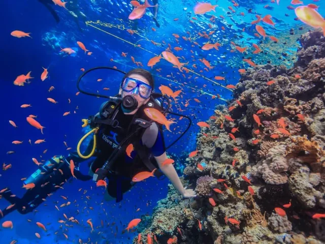 Tiran Island Snorkeling Cruise from Sharm with Lunch in Sharm El Sheikh — experience image 12 of 13