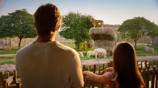 Dubai Safari Park Tickets: Park Pass & Explorer Safari Bundle in Dubai — experience image 16 of 16
