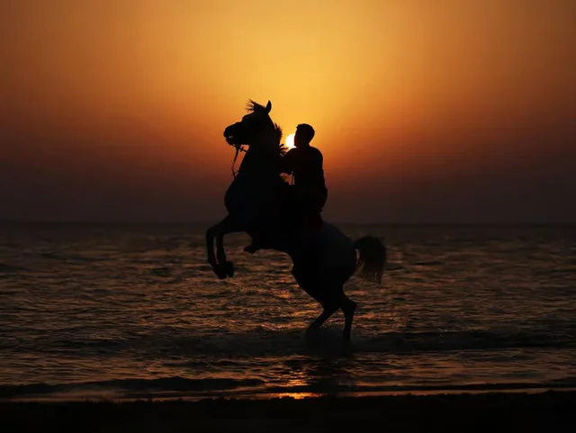 Hudairiyat Island Horse Riding Abu Dhabi: Shoreline Sessions in Abu Dhabi — experience image 2 of 5