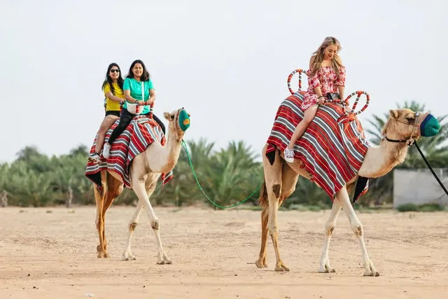 Dubai Sunrise Hot Air Balloon with Breakfast & Camel Ride in Dubai — experience image 8 of 18