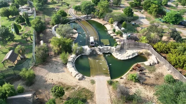 Dubai Safari Park Tickets: Park Pass & Explorer Safari Bundle in Dubai — experience image 5 of 16
