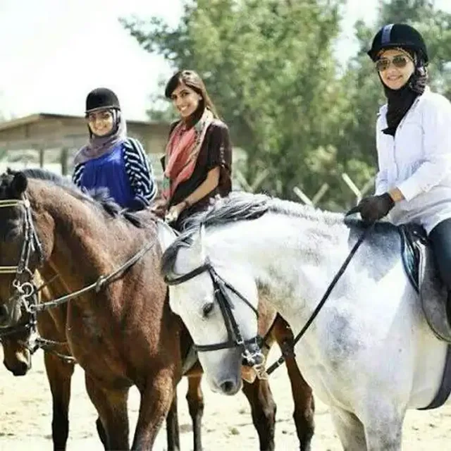Bahrain Sunset Horse Riding Tour with Pearls & Dinner in Manama — experience image 6 of 9