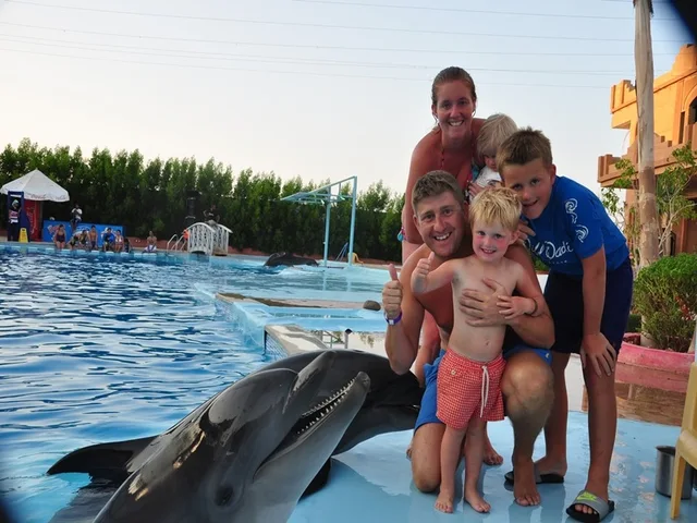 Sharm El Sheikh Dolphin Show Ticket Enquiry in Sharm El Sheikh — experience image 4 of 17