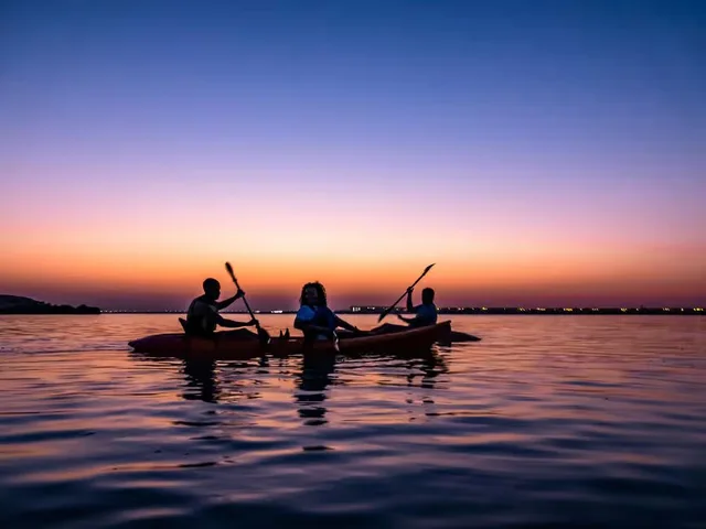 Al Thakira Mangrove Kayaking Tour from Doha in Doha — experience image 5 of 11