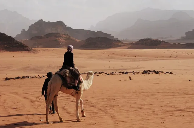 Petra Day Trip from Taba: Ferry, Siq & Treasury in Taba — experience image 5 of 18