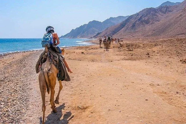Coloured Canyon Jeep Safari from Taba with Lunch in Taba — experience image 13 of 20