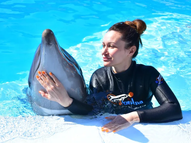 Sharm El Sheikh Dolphin Show Ticket Enquiry in Sharm El Sheikh — experience image 10 of 17