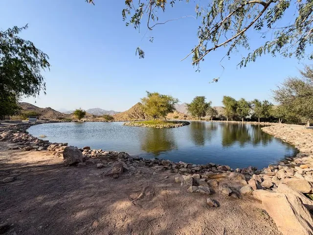 Hatta Day Trip from Dubai: Mountain Sightseeing & Kayaking Options in Dubai — experience image 19 of 20